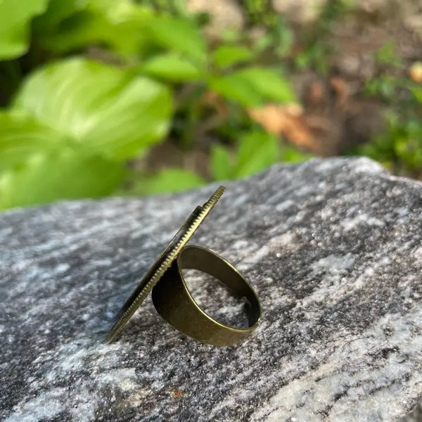Hanuman Bronze Ring