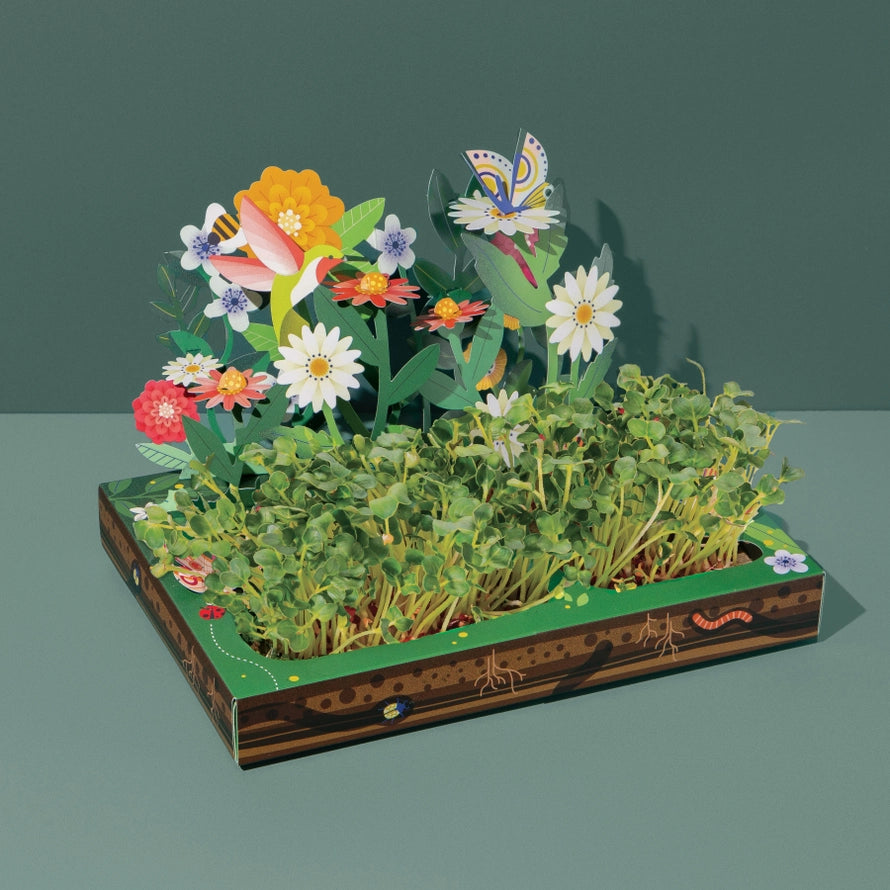 Pollinator Habitat DIY Kit