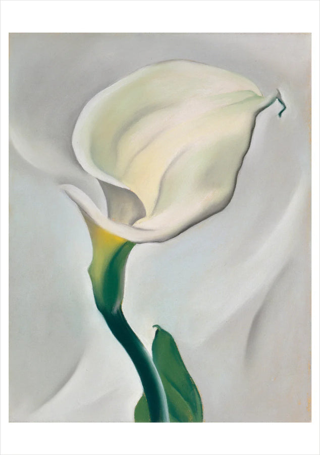 Georgia O'Keeffe Boxed Notecard Set
