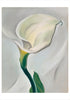 Georgia O'Keeffe Boxed Notecard Set