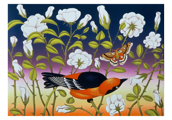 Billy Hassell: White Roses Small Boxed Cards