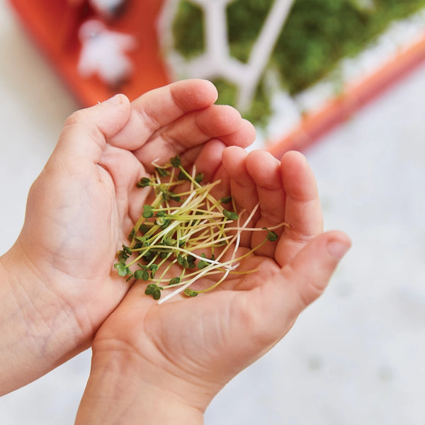 Pollinator Habitat DIY Kit