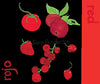 Apples Are Red English/Spanish Board Book