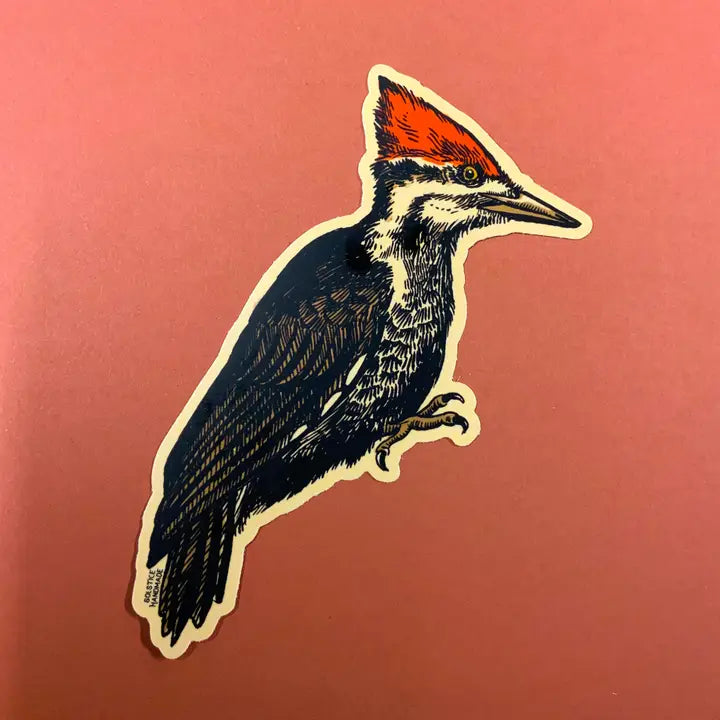 Pleated Woodpecker Sticker