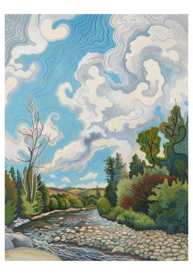 Phyllis Shafer Boxed Notecard Assortment