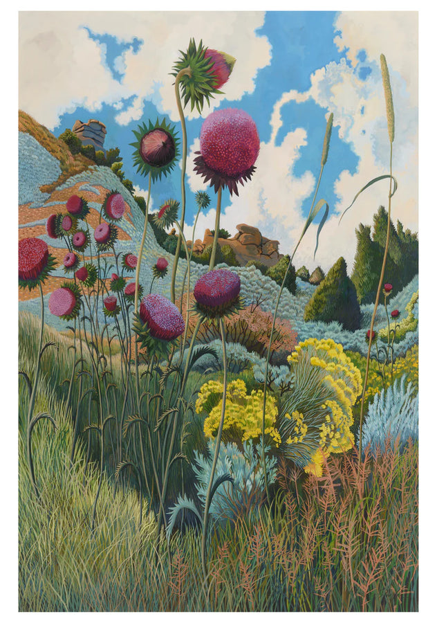 Phyllis Shafer Boxed Notecard Assortment