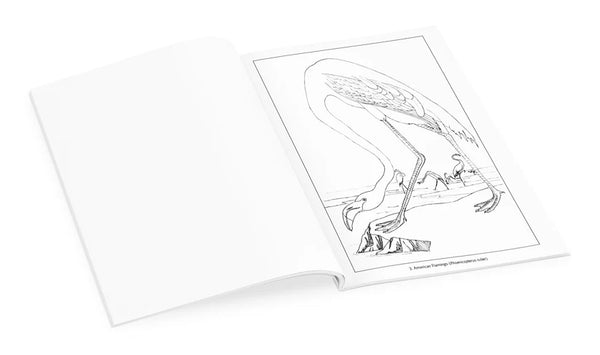 John James Audubon: Birds Coloring Book