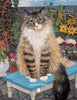 Mimi Van Olsen: Cats Coloring Book