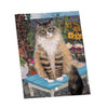 Mimi Van Olsen: Cats Coloring Book