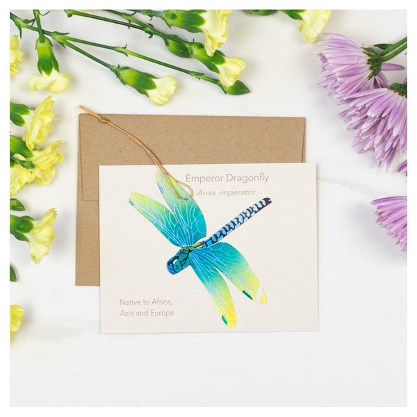 Dragonfly Ornament and Notecard
