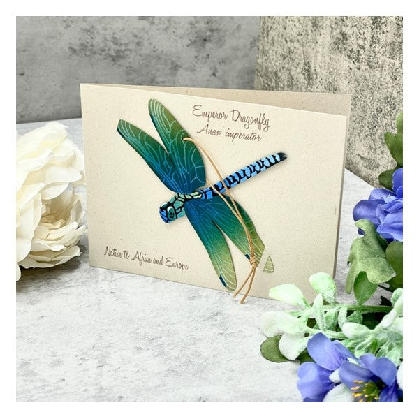 Dragonfly Ornament and Notecard