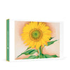 Georgia OKeeffe: A Sunflower from Maggie Small Boxed Cards