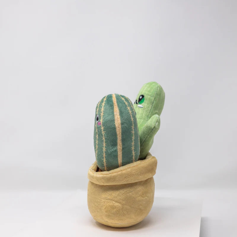 Mr Cactus & Family Plush