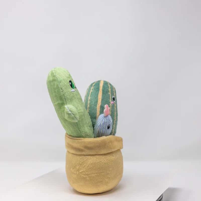 Mr Cactus & Family Plush
