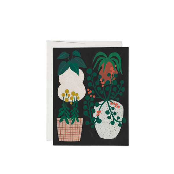 Indoor Plants Greeting Card