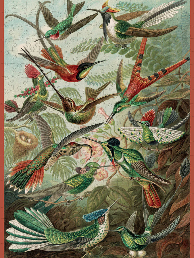 Ernst Haeckel: Hummingbirds 300 Piece Jigsaw Puzzle