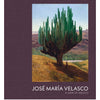 Jose Maria Velasco: A View of Mexico