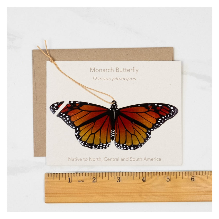 Monarch Ornament and Notecard