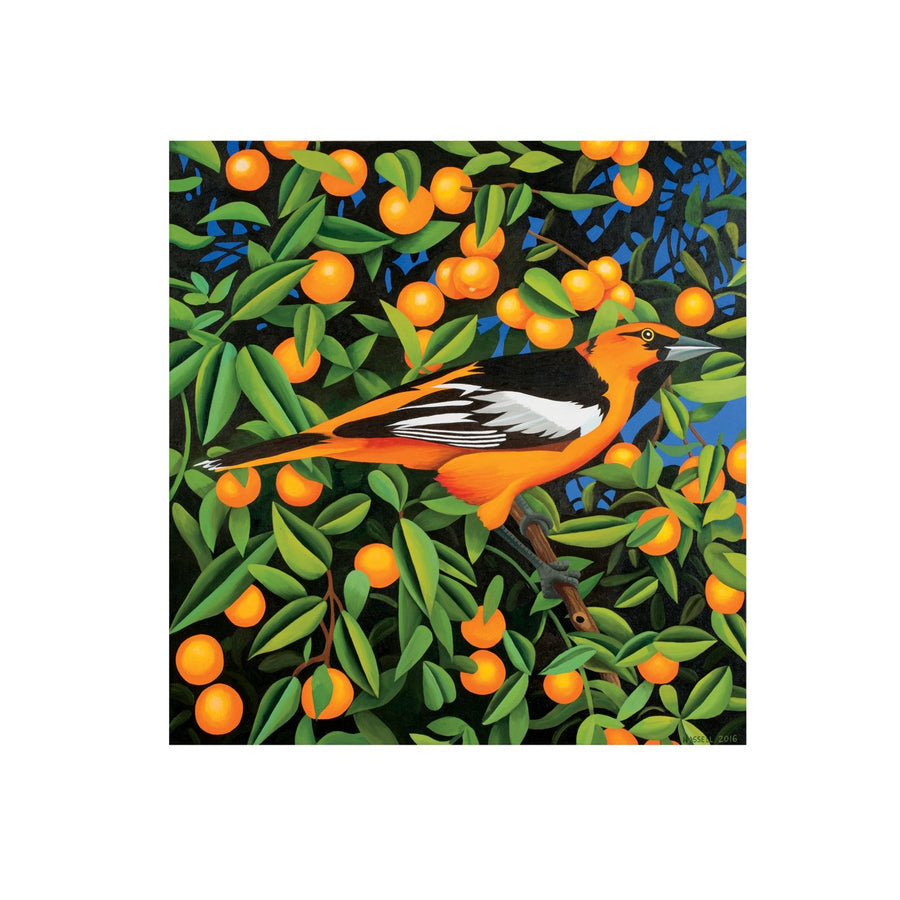 Billy Hassell: Tangerines Birthday Card