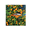 Billy Hassell: Tangerines Birthday Card