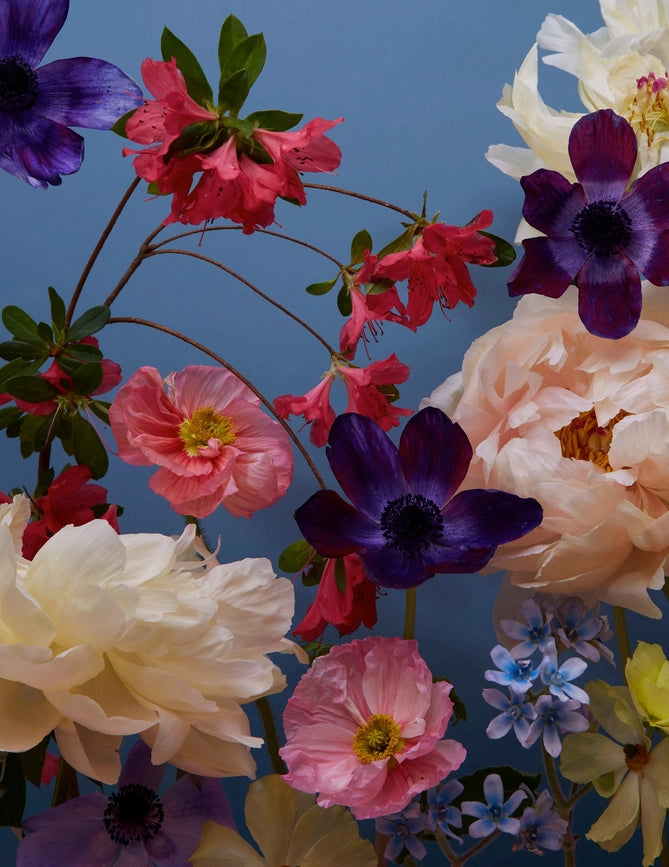 Doan Ly Flowers Keepsake Boxed Notecards