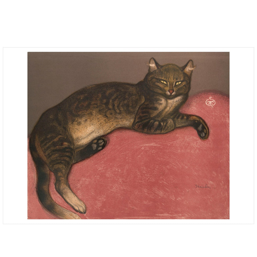 Cat on a Cushion Birthday Card