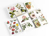 Flowers Correspondence Set