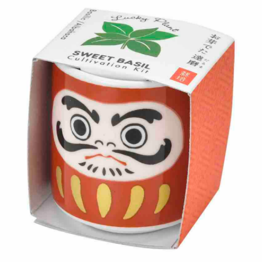 Lucky Plant Daruma Doll Cultivation Kit