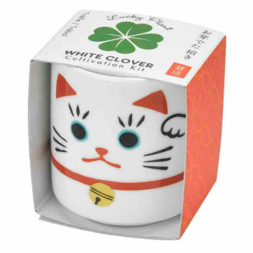 Lucky Plant Beckoning Cat Cultivation Kit