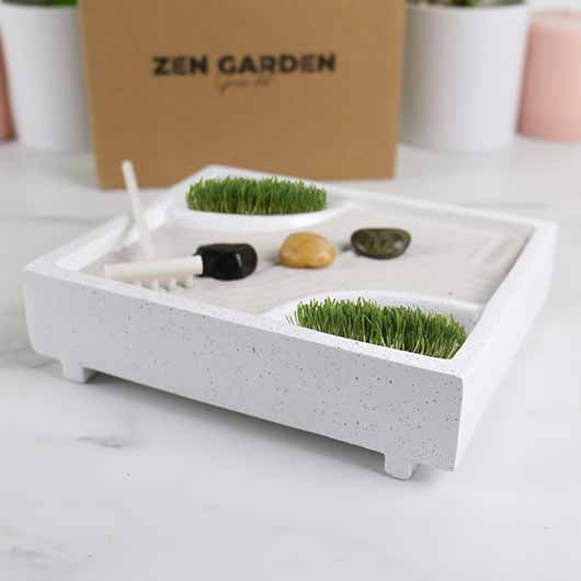 Zen Garden Grow Kit