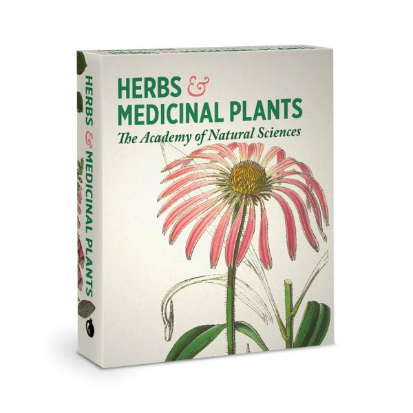 Herbs & Medicinal Plants Knowledge Cards.jpg?0