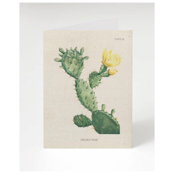 Prickly Pear Greeting Card.jpg?0