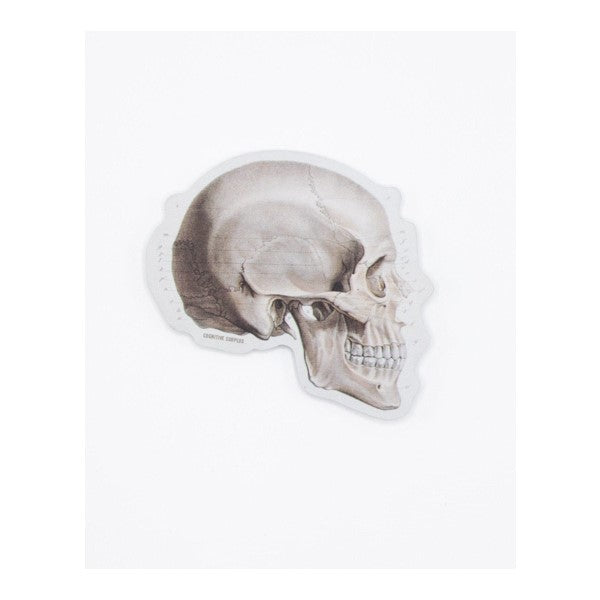 Skull Profile Sticker.jpg?0