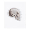 Skull Profile Sticker.jpg?0